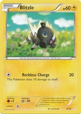 'Pokemon - 'Blitzle (12) 012  XY Trainer Kit Pikachu Libre & Suicune - Common