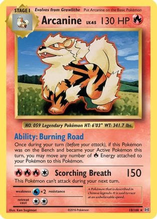 'Pokemon - 'Arcanine 018/108  XY  Evolutions - Rare