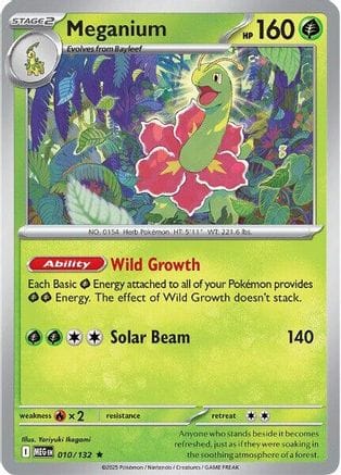 'Pokemon - 'Meganium 010/132  - Holofoil ME01 Mega Evolution - Rare