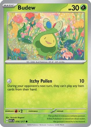 'Pokemon - 'Budew 016/217  ME Ascended Heroes - Common