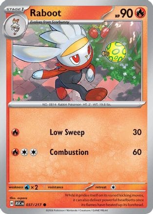 'Pokemon - 'Raboot 037  - Reverse Holofoil ME Ascended Heroes - Common