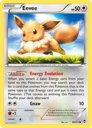 'Pokemon - 'Eevee 080/111  XY  Furious Fists - Common