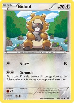 'Pokemon - 'Bidoof 116/160  XY  Primal Clash - Common